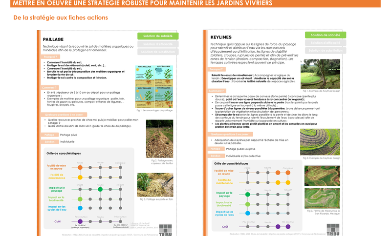 Mettre en oeuvre une stratégie robuste pou rmaintenir les jardins vivriers