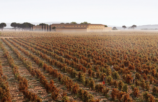 Etude aéraulique adiabatique du chai de Beaucastel