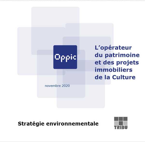 Stratégie des projets portés par l'OPPIC