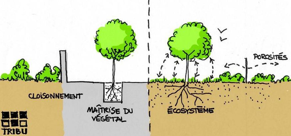 « RECRé » Renaturation des Espaces des Cours vers la Résilience Ecologique